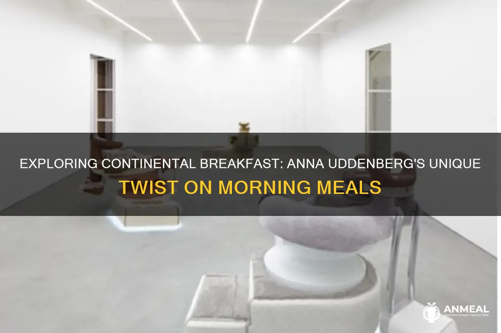 what is continental breakfast anna uddenberg