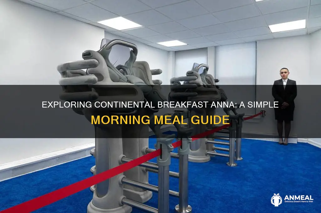 what is continental breakfast anna