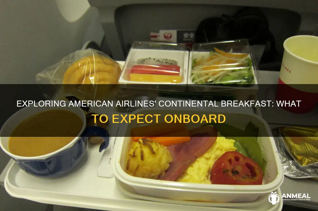 what is continental breakfast on american airlines