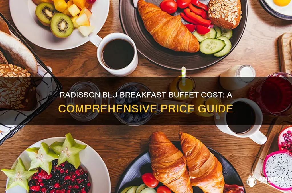what is cost of radisson blu breakfast buffet
