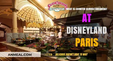 Disneyland Paris Counter Service Breakfast: A Quick Guide to Morning Magic