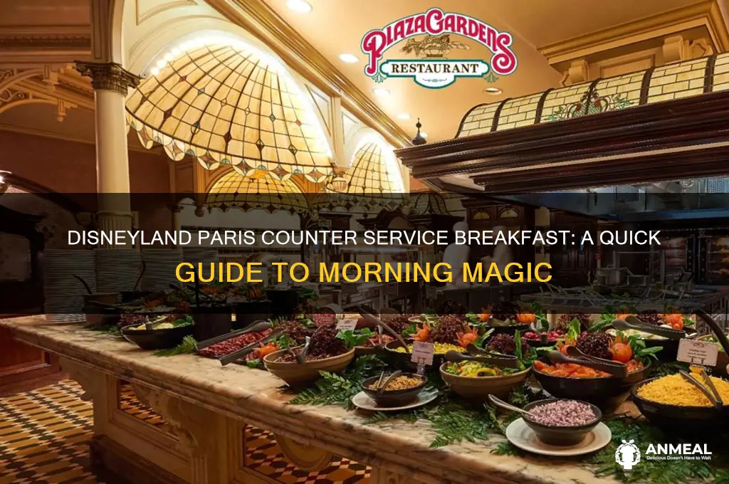 what is counter service breakfast at disneyland paris