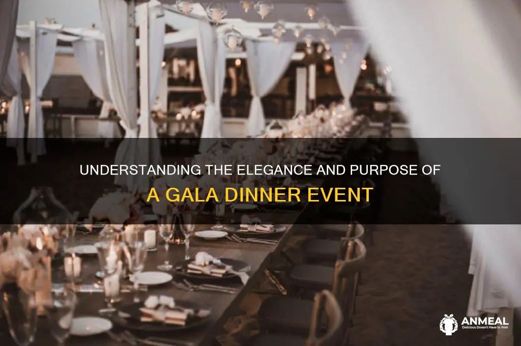 what is definition of gala dinner
