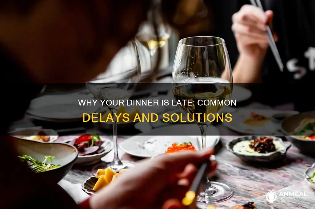 what is delaying my dinner