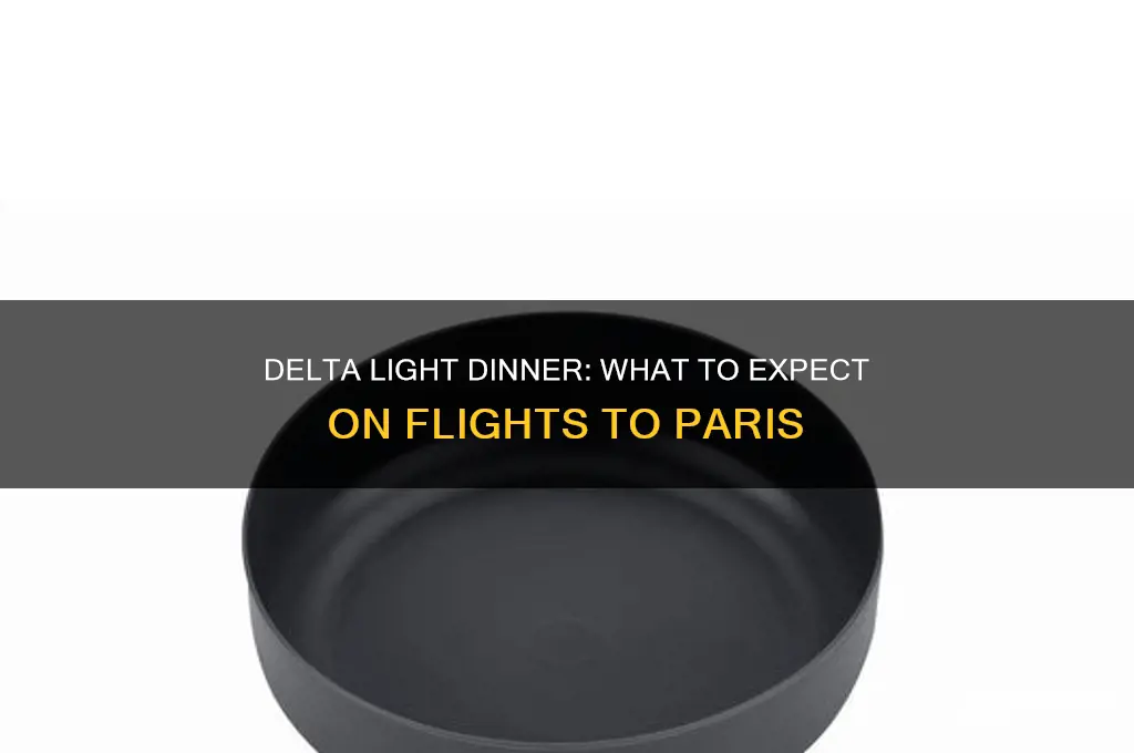what is delta light dinner on flights to paris