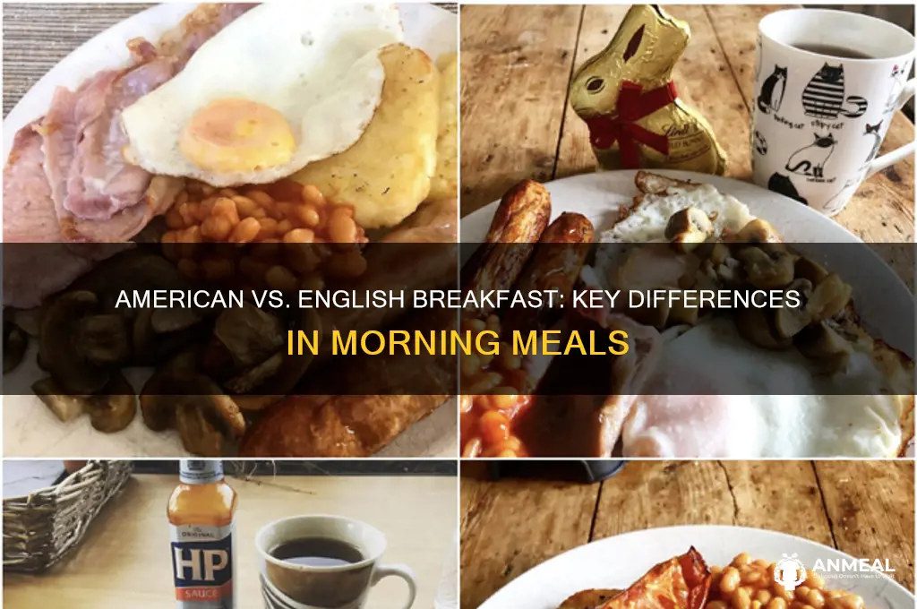 what is difference between american breakfast and english breakfast