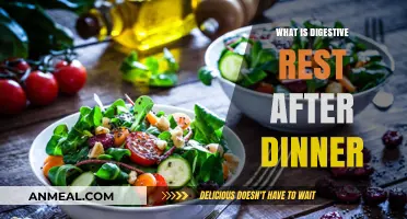 Digestive Rest After Dinner: Benefits, Tips, and Why It Matters
