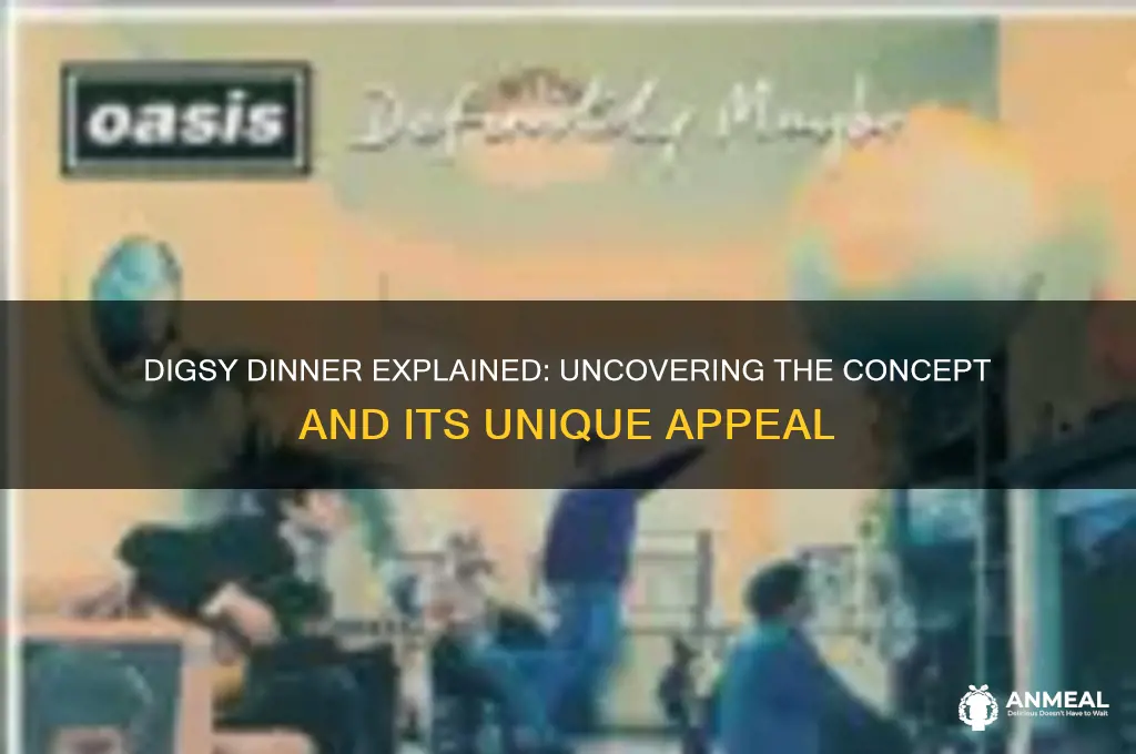 what is digsy dinner about