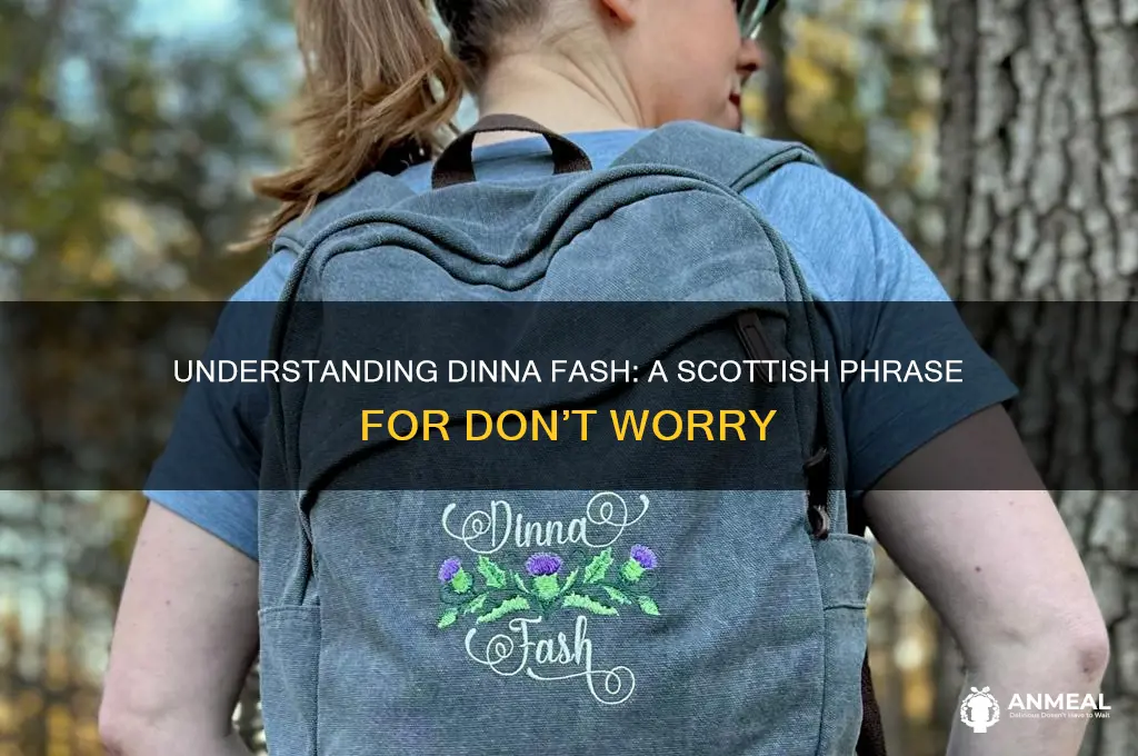 what is dinna fash