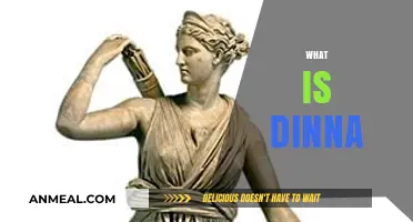 Discovering Dinna: Unveiling the Meaning and Origins of a Unique Term