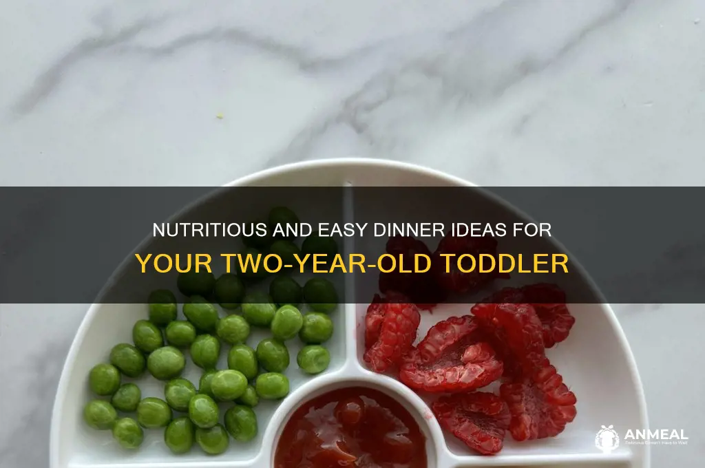 what is dinner foods for a two year old