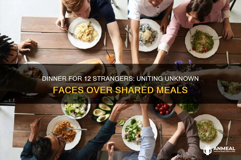 what is dinner for 12 strangers