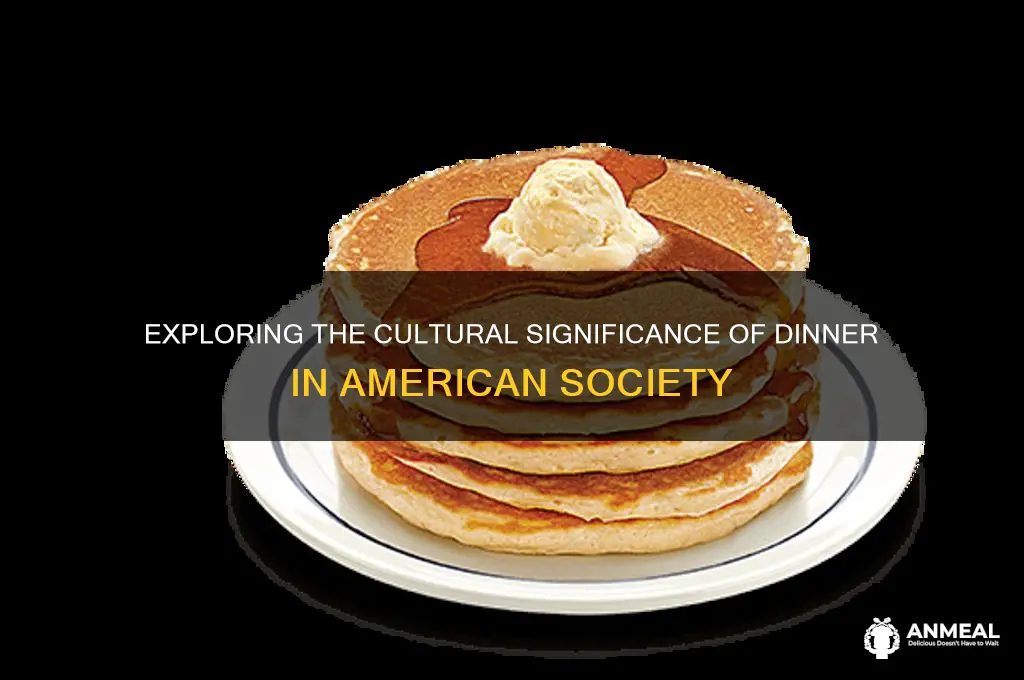 what is dinner in america about summary