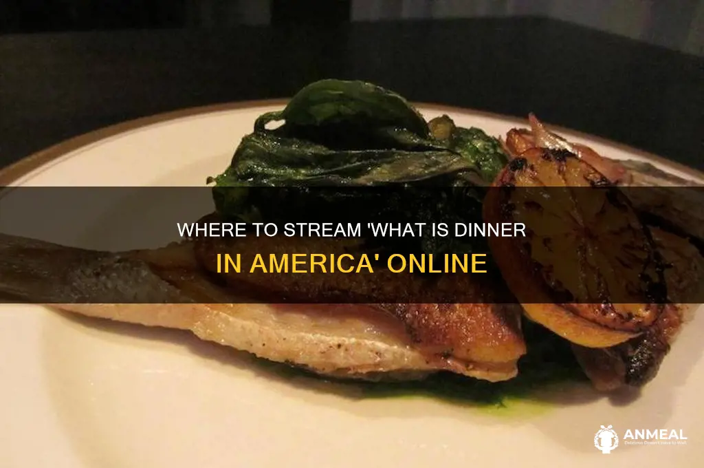 what is dinner in america streaming on
