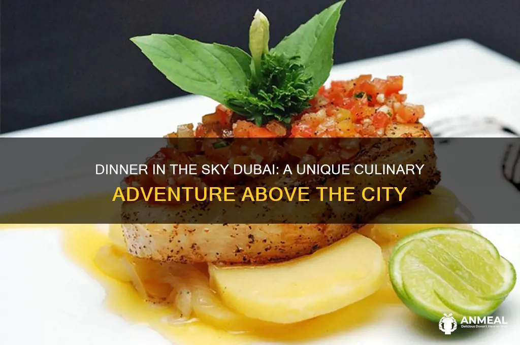 what is dinner in the sky dubai