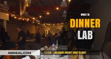 Discover Dinner Lab: A Unique Social Dining Experience Explained