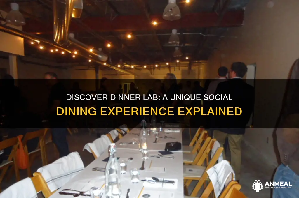 what is dinner lab