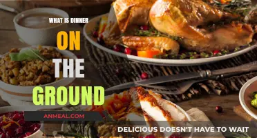Exploring the Tradition of Dinner on the Ground: A Southern Feast