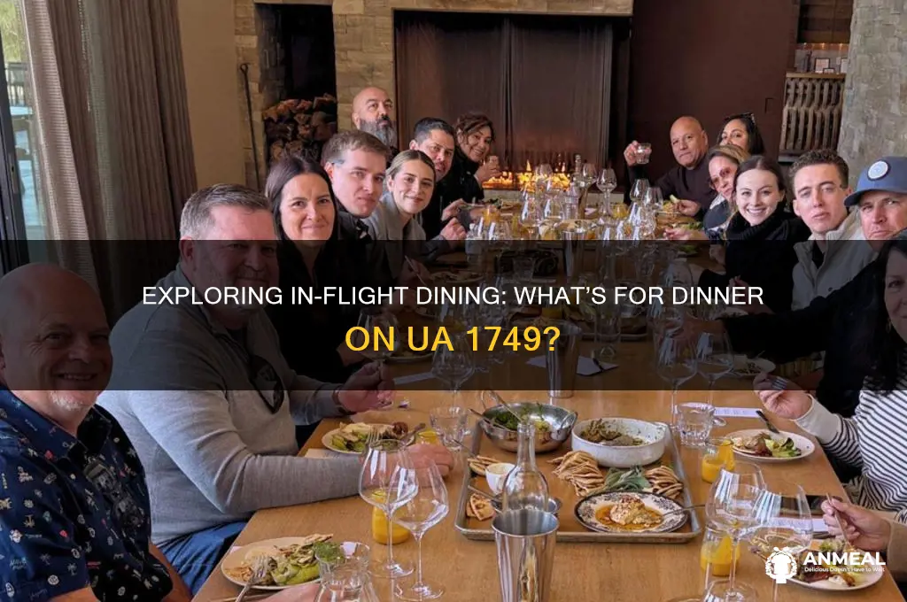what is dinner on ua 1749