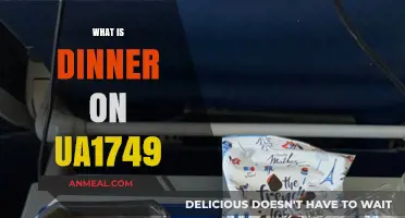Exploring In-Flight Dining: What’s for Dinner on UA1749?
