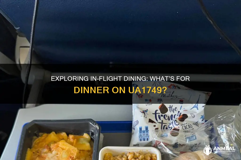 what is dinner on ua1749