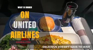 Exploring United Airlines' Dinner Options: What to Expect In-Flight