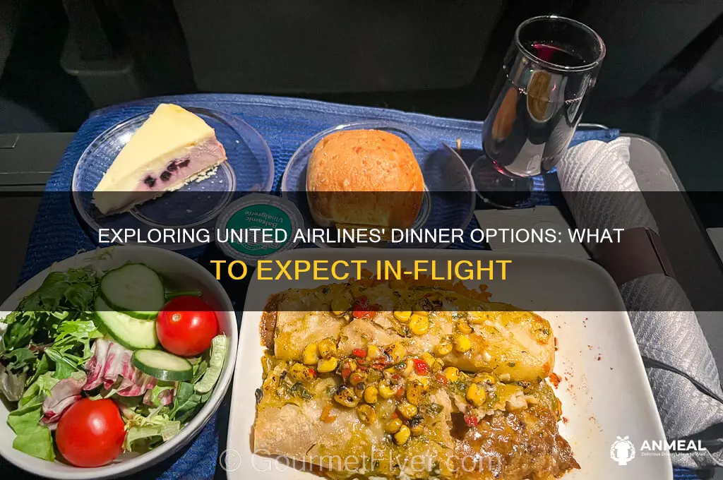 what is dinner on united airlines