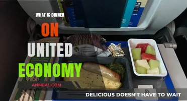 Exploring United Economy's In-Flight Dinner Options and Menu Highlights