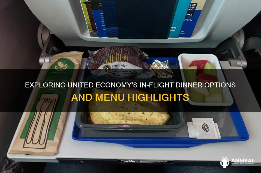 what is dinner on united economy