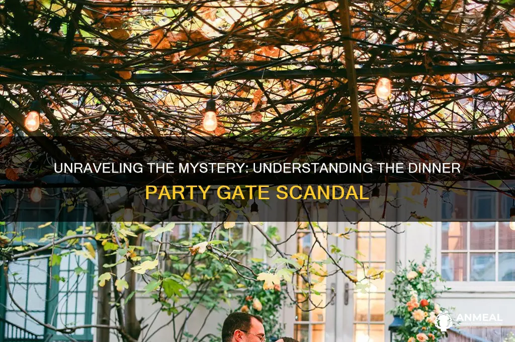 what is dinner party gate