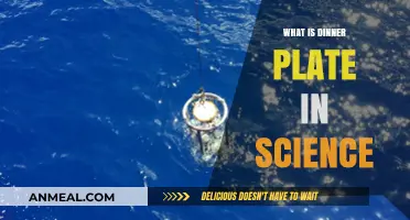 Understanding the Science Behind the Dinner Plate Concept Explained