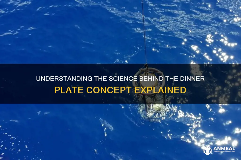 what is dinner plate in science