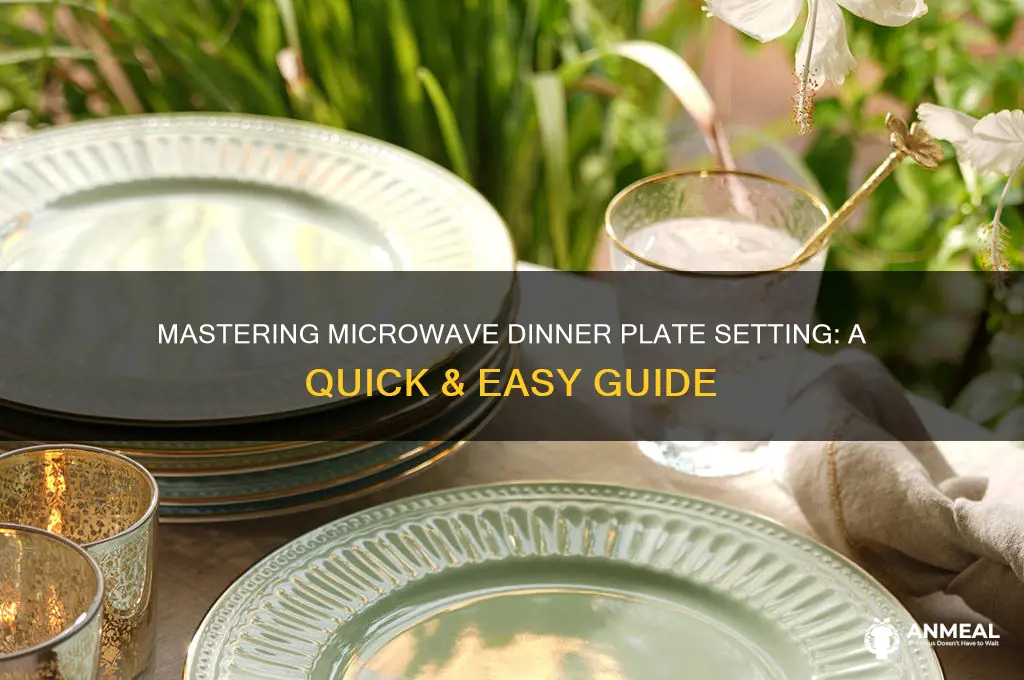 what is dinner plate setting on microwave