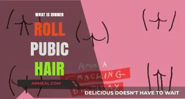 Dinner Roll Pubic Hair: Understanding the Unique Grooming Trend