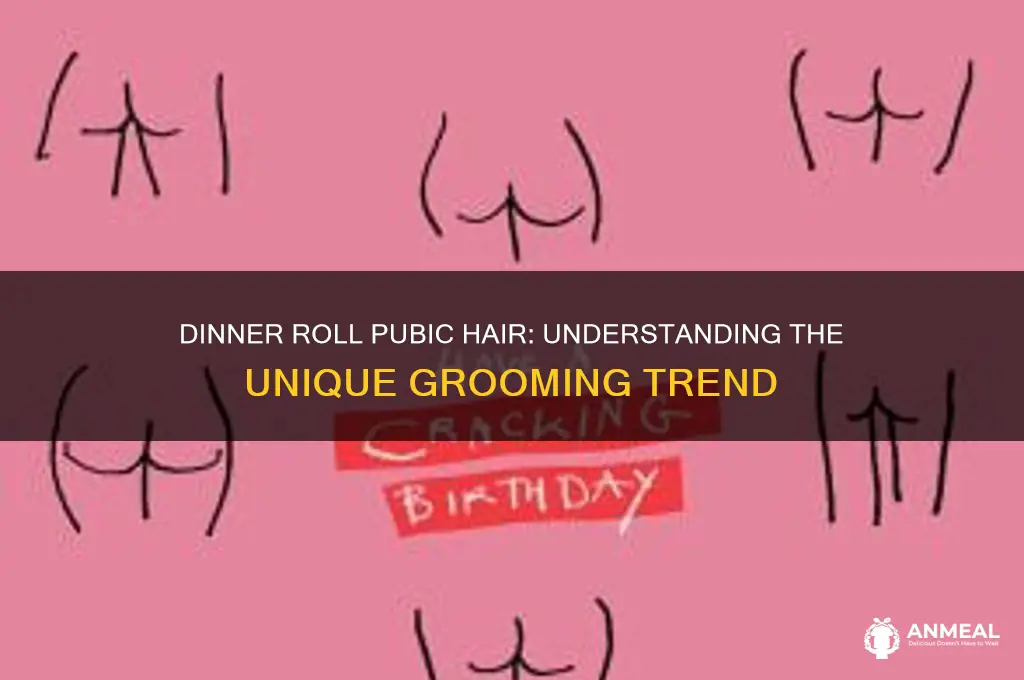what is dinner roll pubic hair