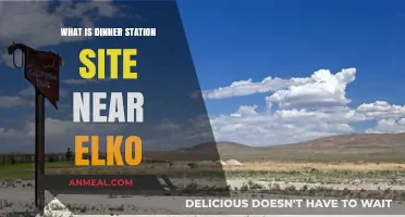 Discover the Unique Dinner Station Site Near Elko, Nevada