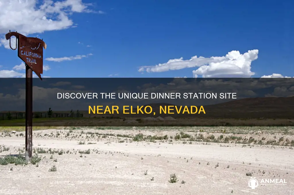 what is dinner station site near elko