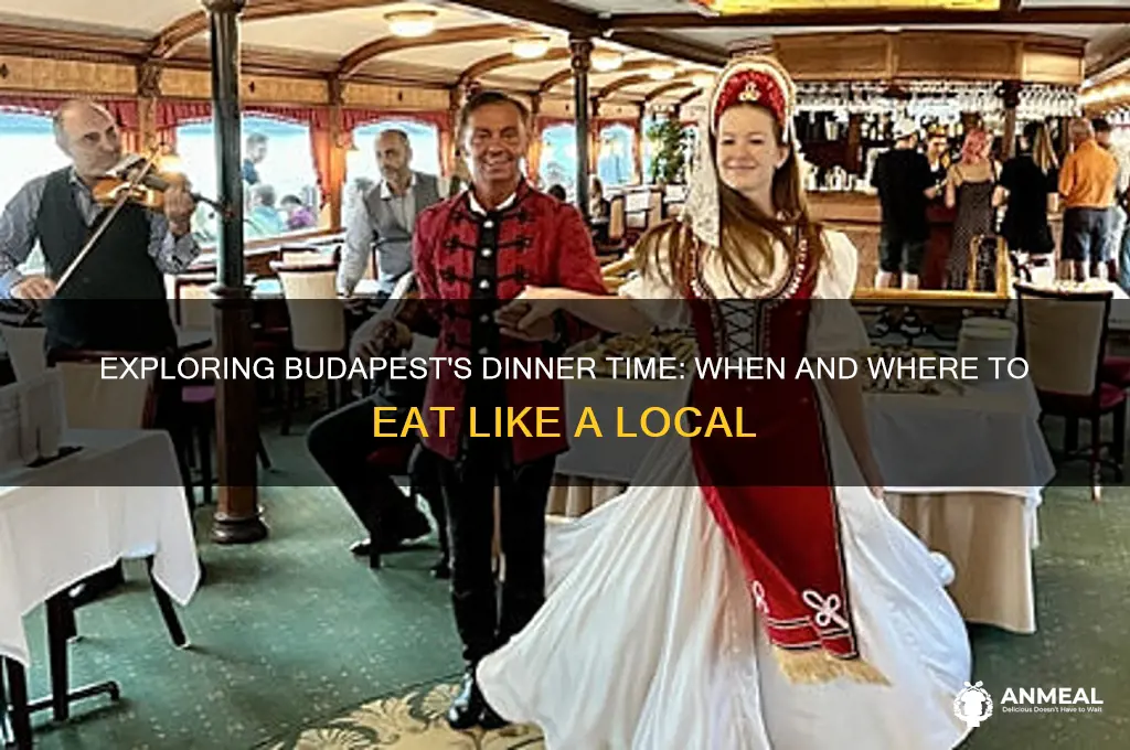 what is dinner time in budapest