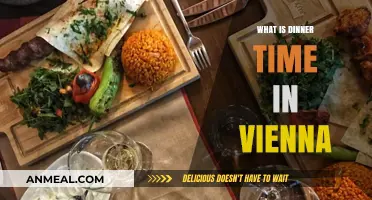 Exploring Vienna's Dinner Time: When Locals Dine in the City