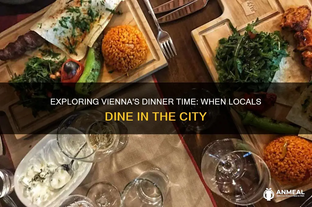 what is dinner time in vienna