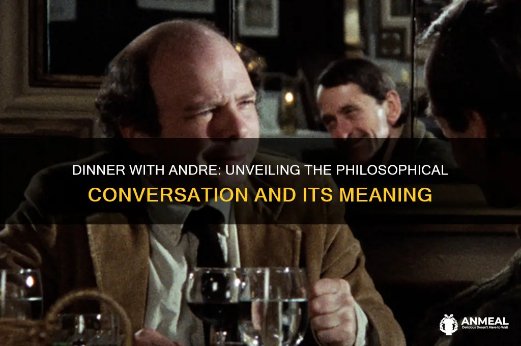 what is dinner with andre about