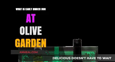 Olive Garden's Early Dinner Duo: Affordable, Delicious, and Perfectly Portioned