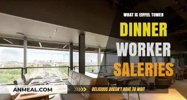 Eiffel Tower Dinner Staff Salaries: What Workers Earn in Paris