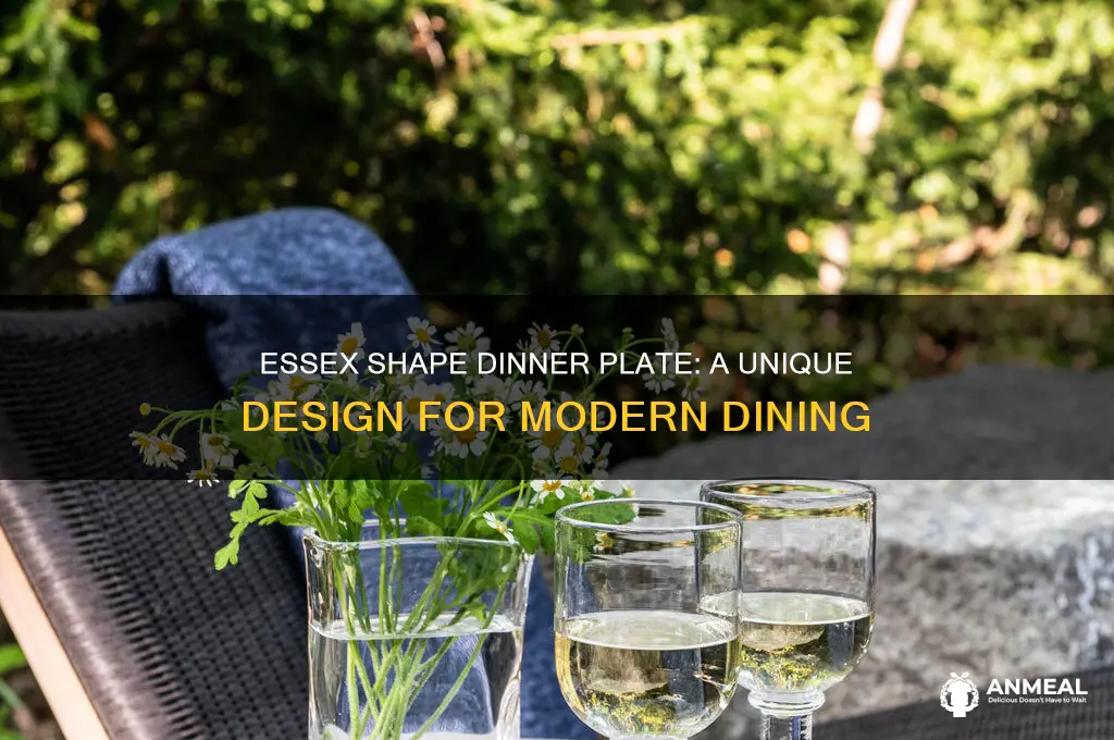 what is essex shape dinner plate