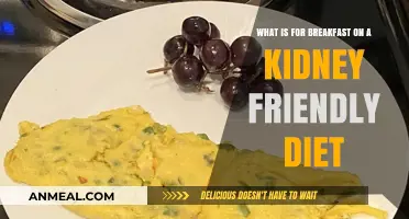 Kidney-Friendly Breakfast Ideas: Healthy and Delicious Morning Meals