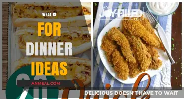 Quick, Easy, and Delicious Dinner Ideas for Busy Weeknights