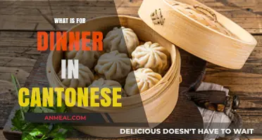 Cantonese Dinner Delights: Exploring Traditional and Modern Evening Meals