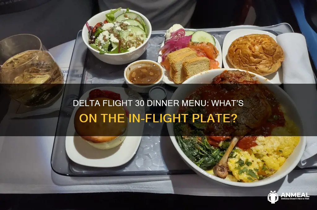 what is for dinner on delta flight 30