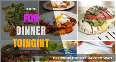 Delicious Dinner Ideas: Tonight's Menu Inspiration and Quick Recipes