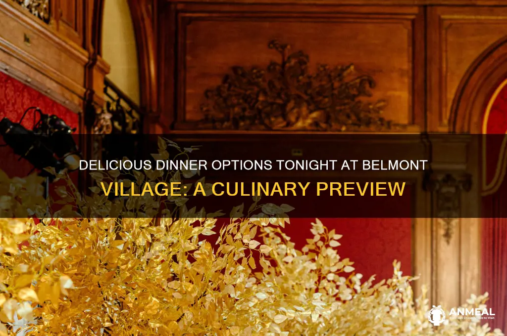 what is for dinner tonight at belmont village